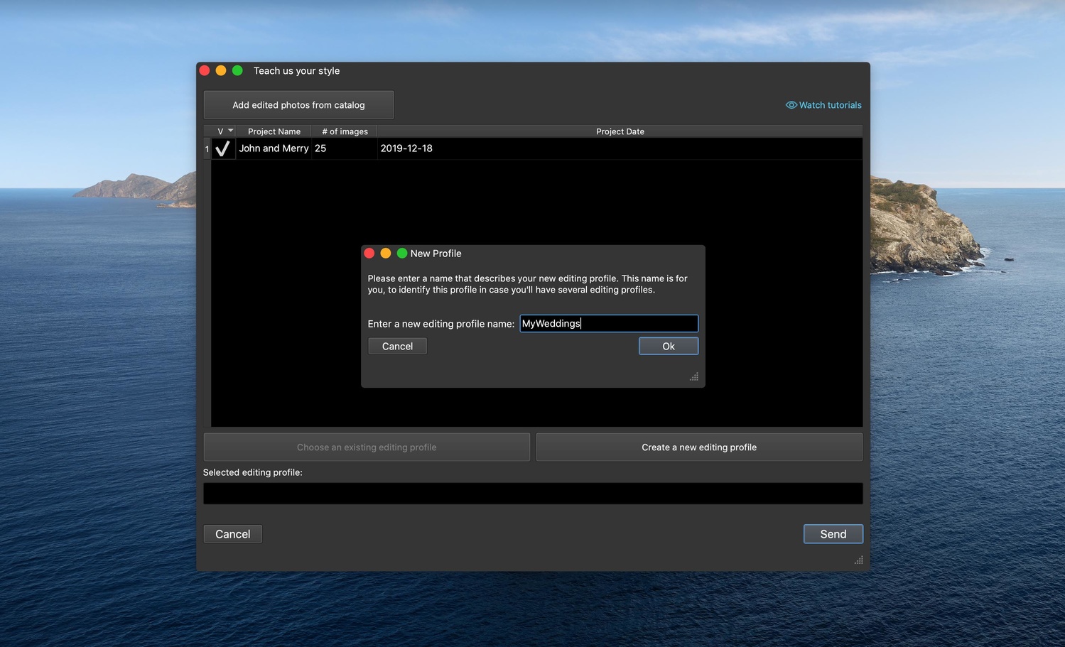 Editing with ImagenAI ImagenAI screenshot