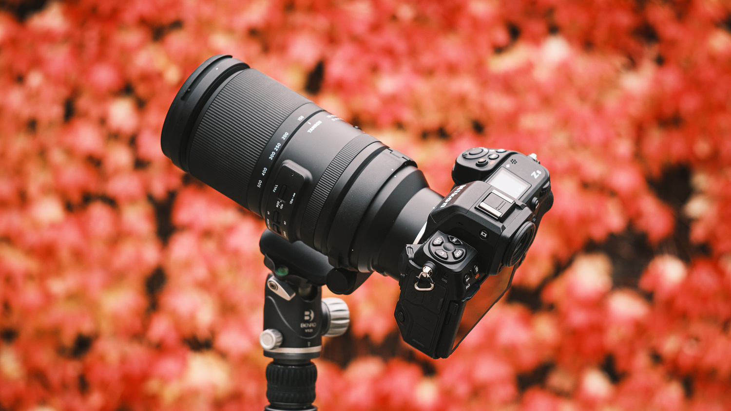 Nikon Z fc review - So nice it makes me sad — Ondrej Vachek - Photographer