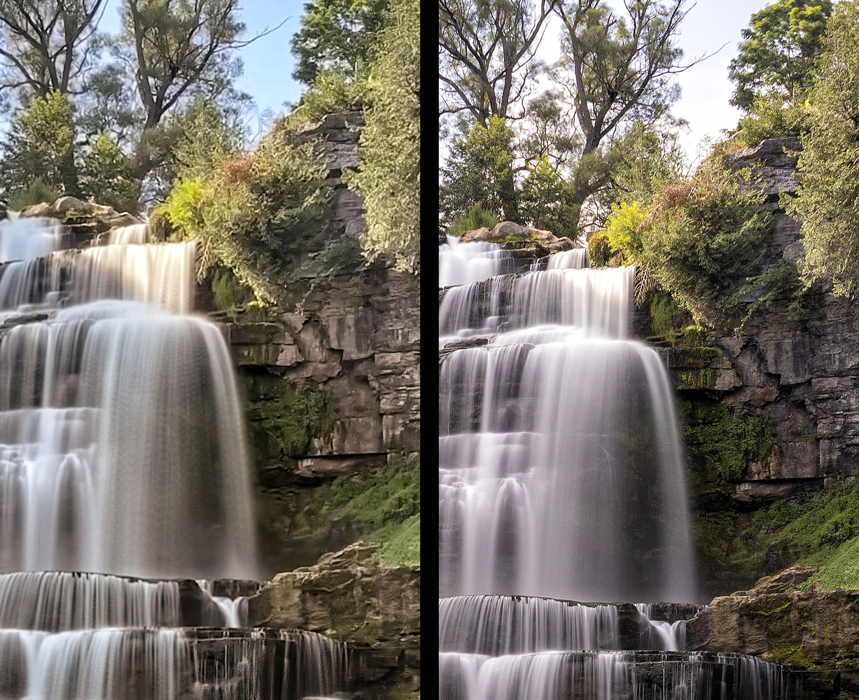 The details on an iPhone shot vs. a Canon R50.