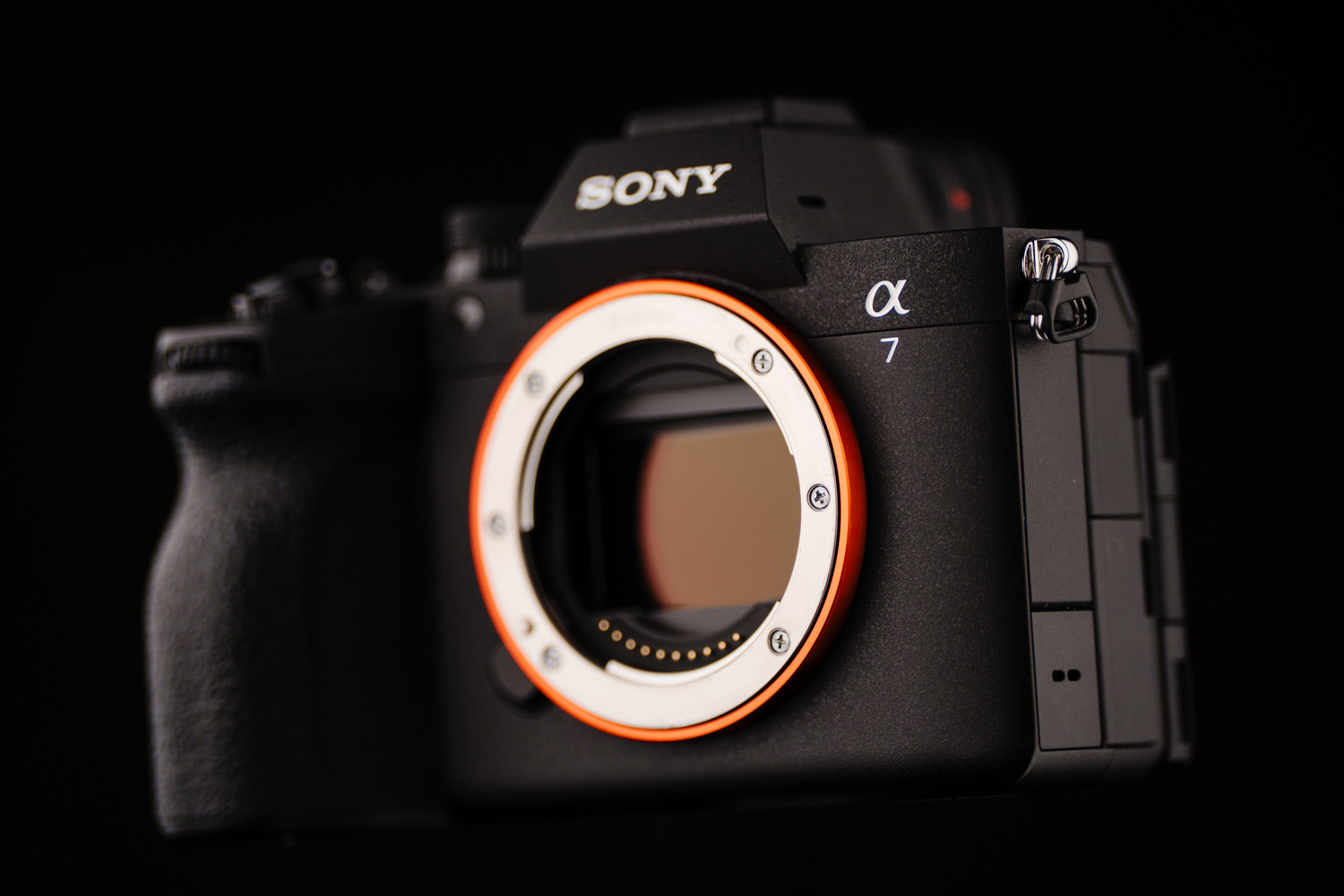 A Week in Aruba With the Sony a7 V: A Real-World Review