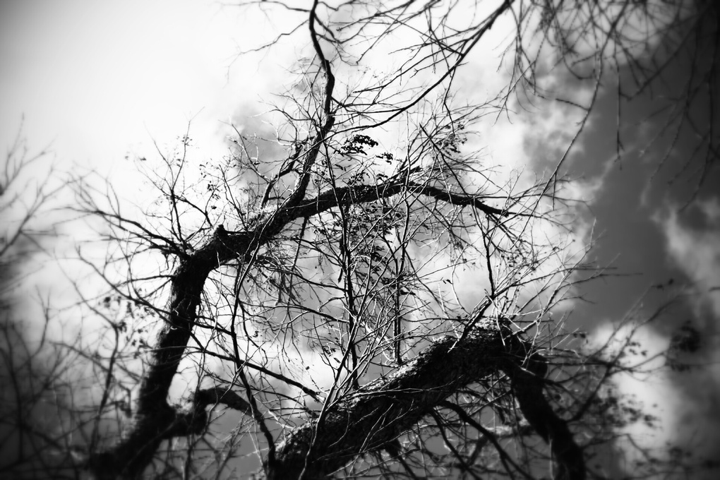 View Untitled 1 by Robbie vassar