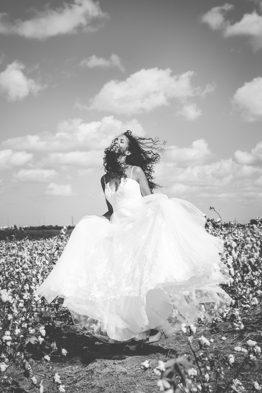 View white wind by idan milman