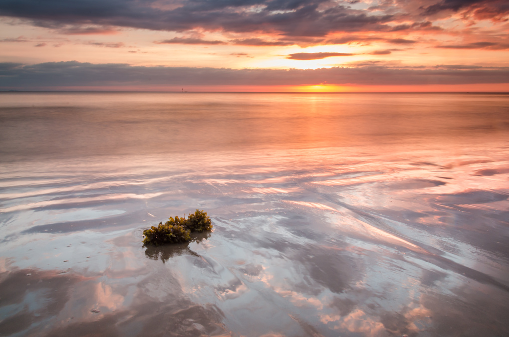 View Untitled 6 by Faiz Abidin