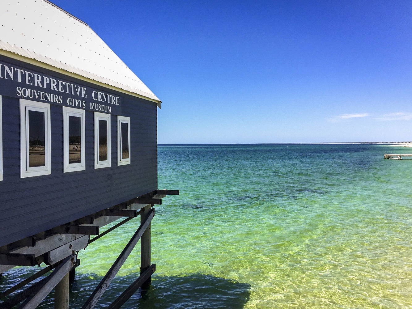 View Busselton Jetty, Western Australia by Murray Scaife