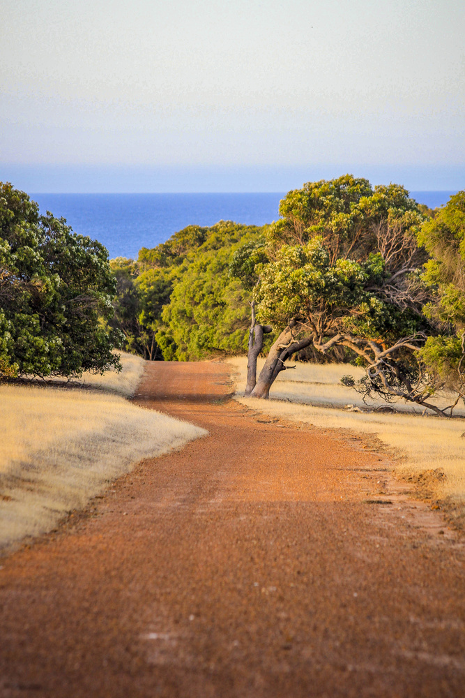 View Untitled 8 by Murray Scaife