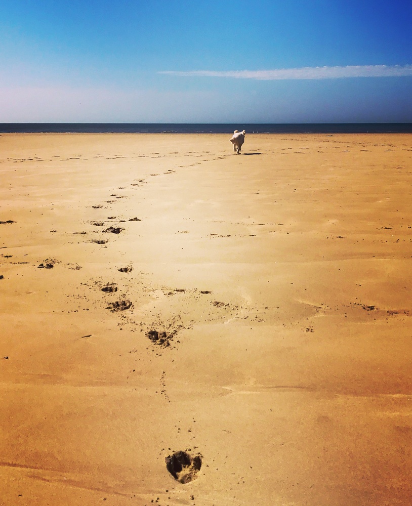 View Untitled 4 by Murray Scaife