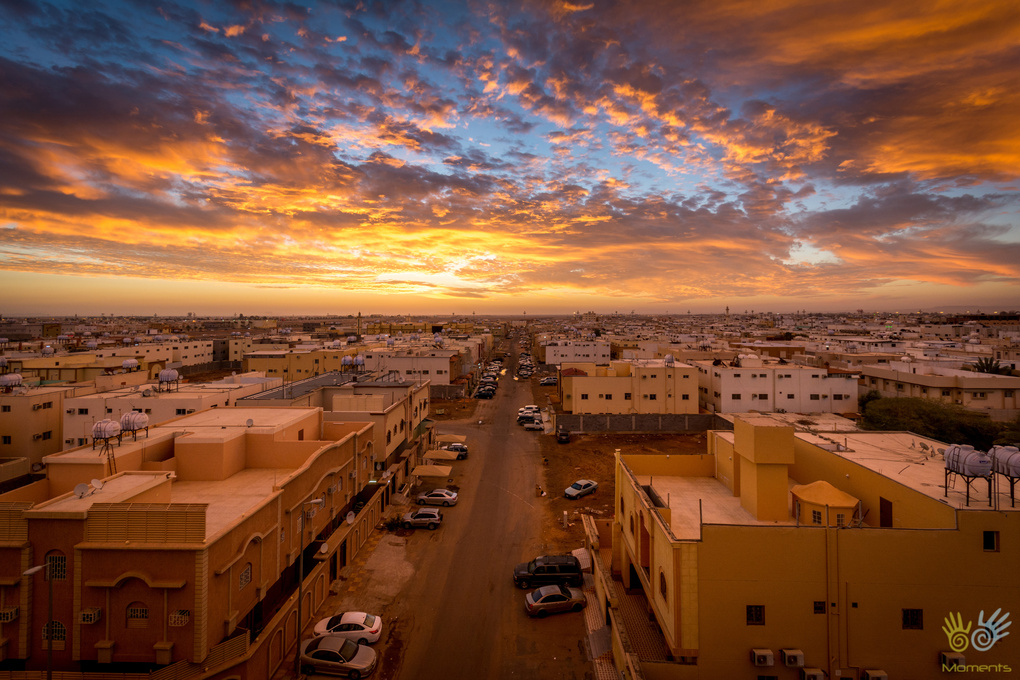 View Early morning by Omer shahid