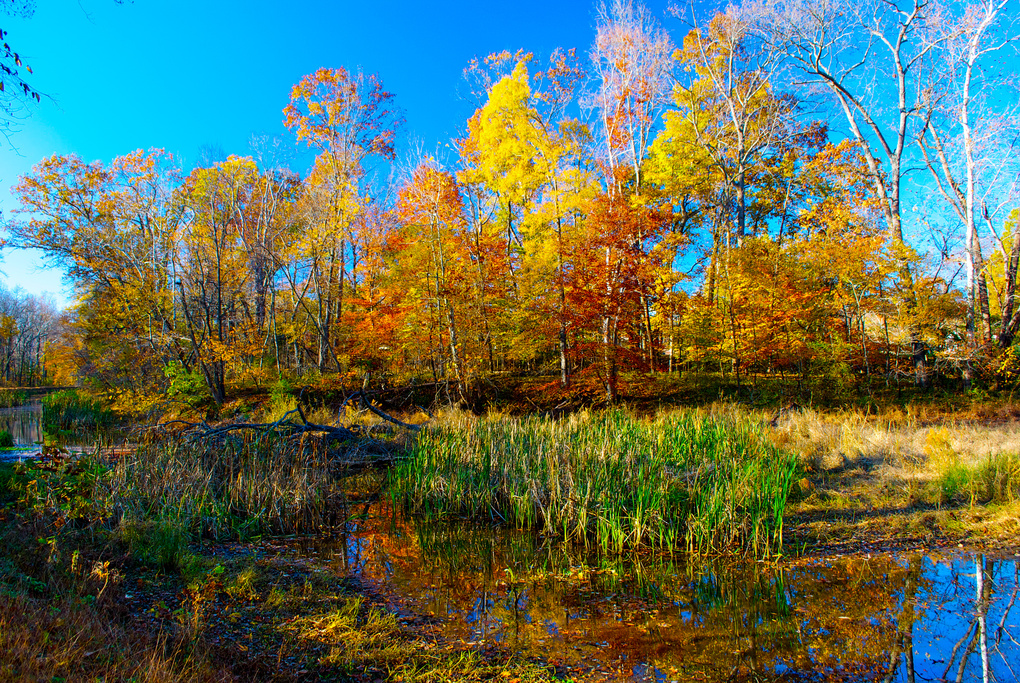 View Fall Colors by Travis Manning