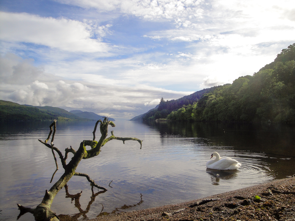 View Loch Ness by Vincent Thijs
