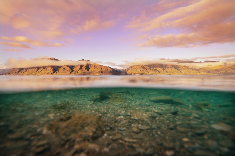 View Lake Hawea by Lisa Michele Burns