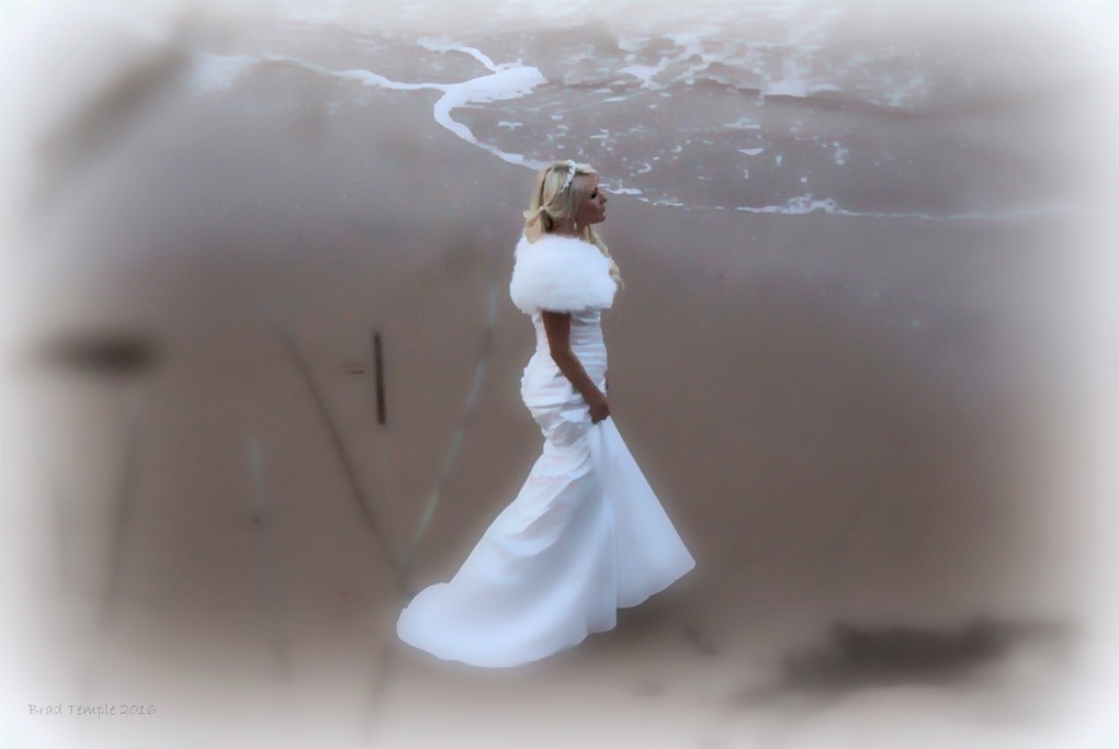 View The Bride by Brad Temple