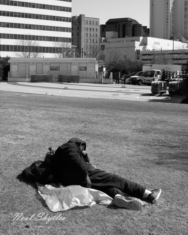 View Homeless by Neal Shytles