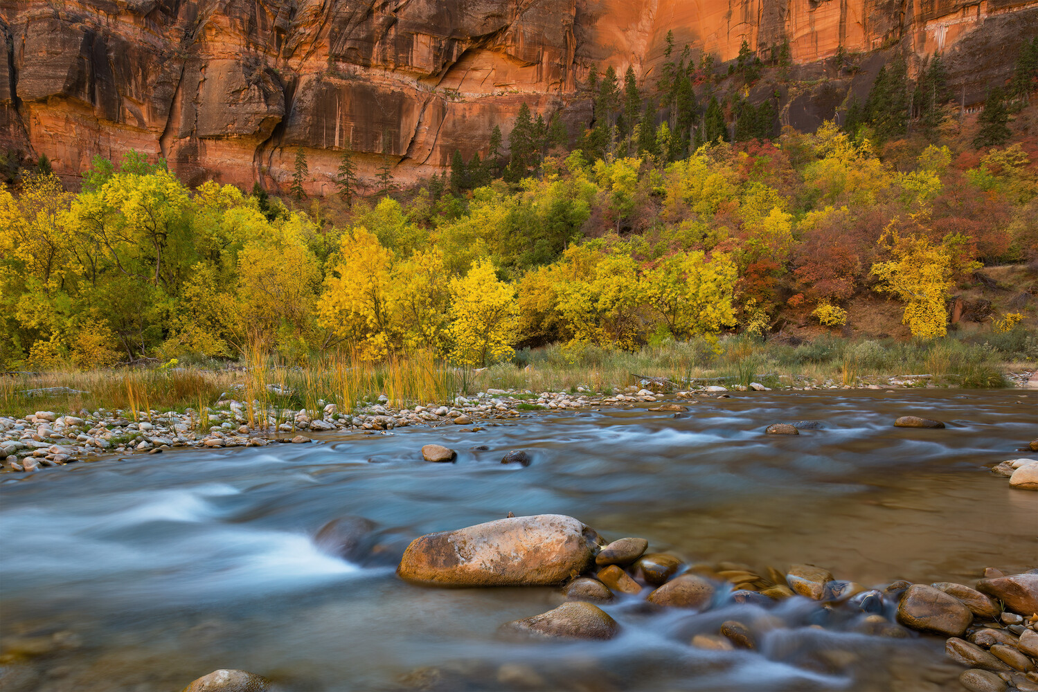 River flowing through autumn cottonwoods with red rock cliffs and boulders in foreground