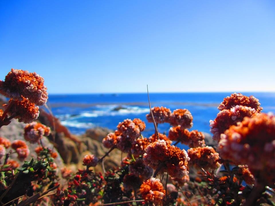 View Big Sur by Amanda Goheen