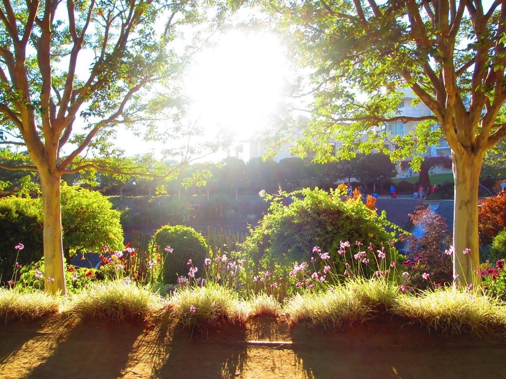 View Getty Afternoons by Amanda Goheen