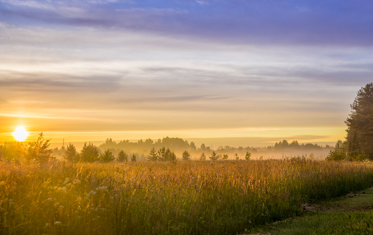 View Sunrise in the field by Janek Sergejev
