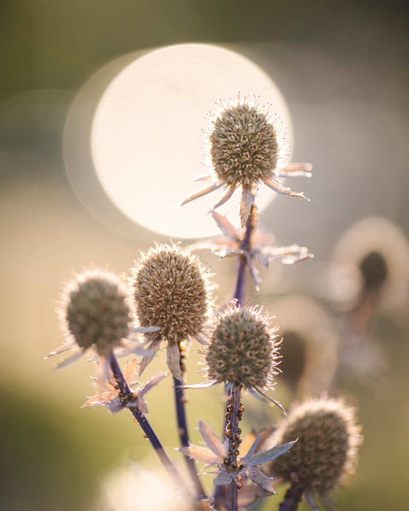 View Untitled 1 by Jon McRae