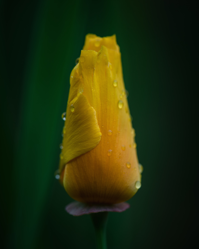 View Untitled 2 by Jon McRae