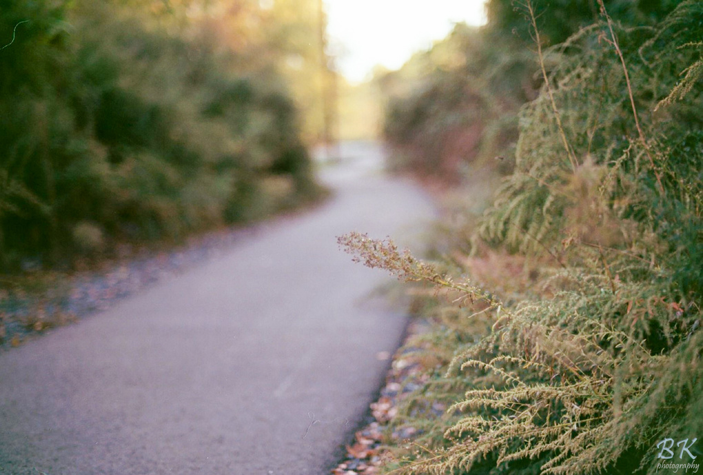 View Long and windy road by Brandon Kotsko