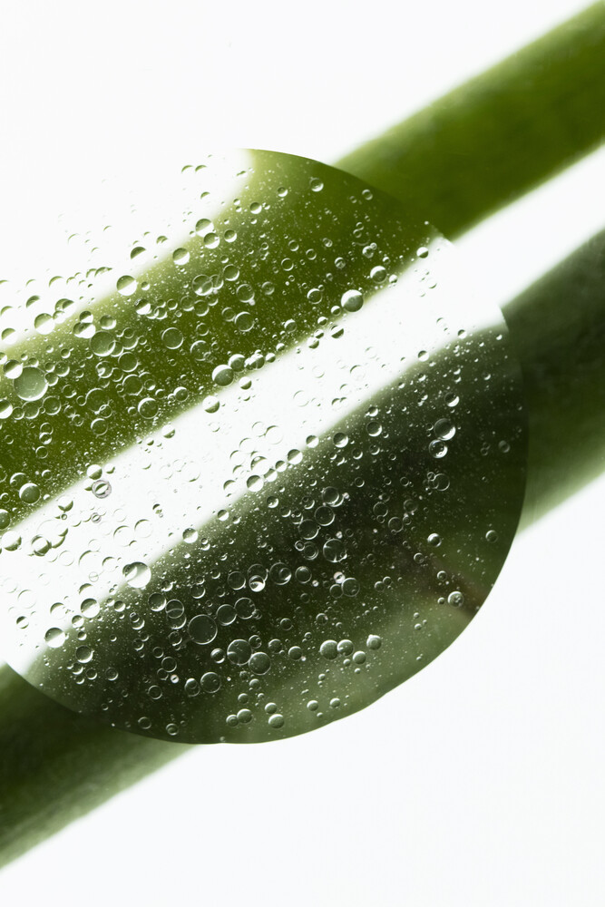 Large water droplet magnifying a green plant stem on a white background, with smaller droplets beaded across the surface