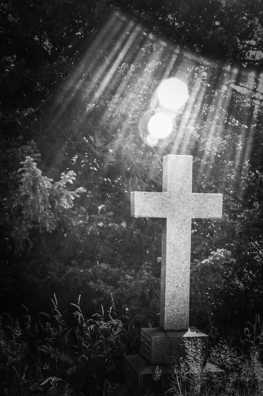 View Shining down.. by Sian Williams