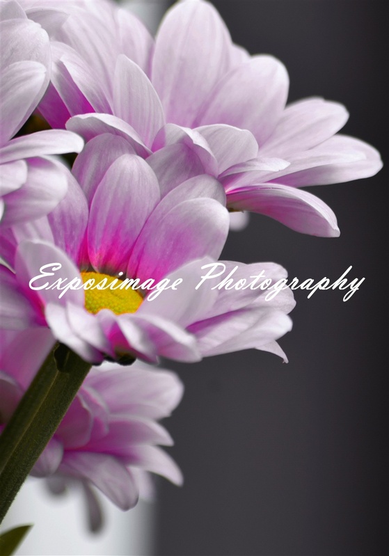 View Untitled 2 by Sian Williams