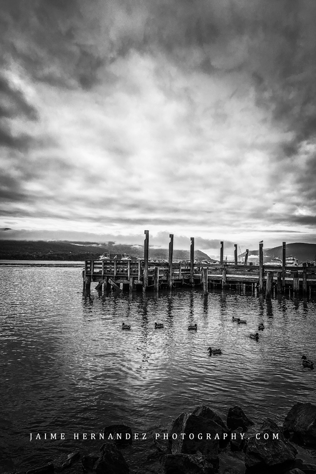 View At the waterfront by Jaime Hernandez