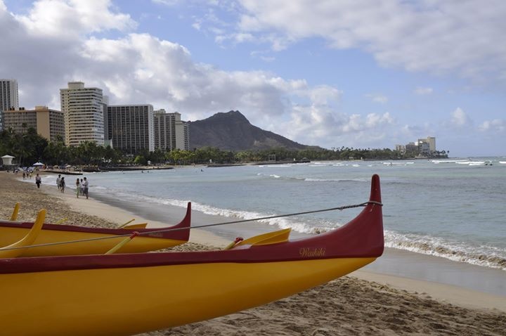 View Waikiki by Eric Hallenbeck