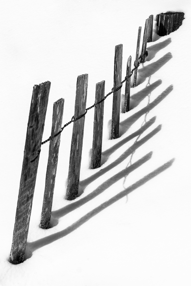 View Untitled 10 by Taylor Ritter