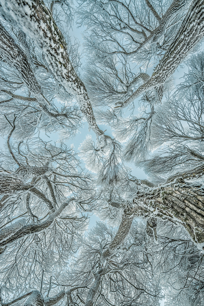 View Untitled 9 by Petri Damstén