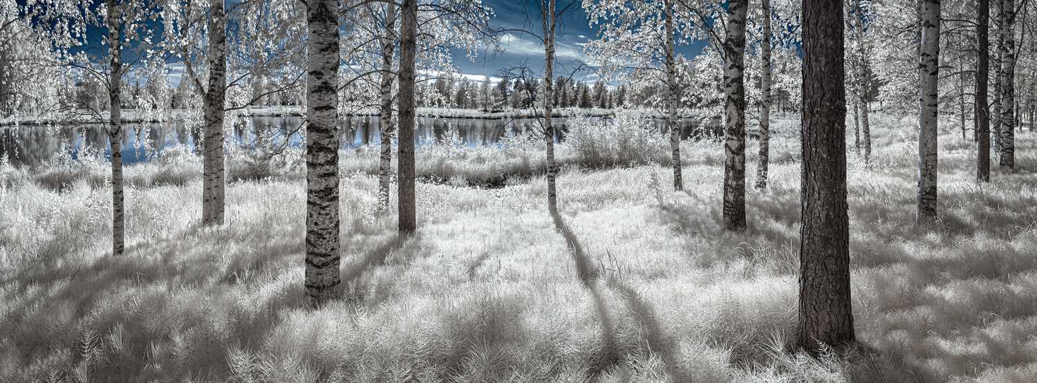 View Untitled 21 by Petri Damstén