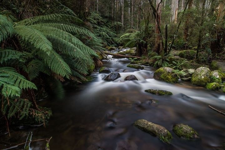 View Water by Wayne Young