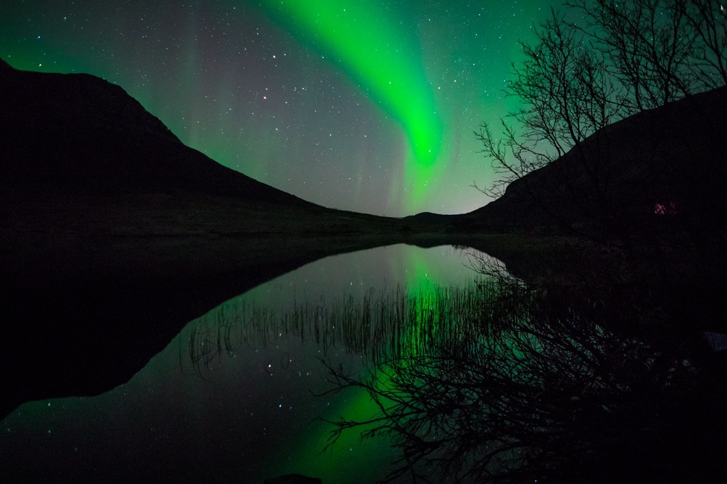 View Aurora Borealis Norway, Tromso by Åsmund Johansen