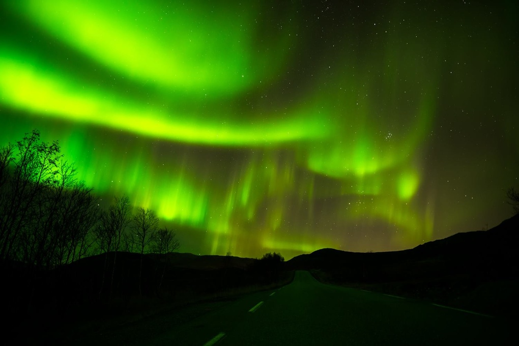View Aurora Borealis Norway Tromso by Åsmund Johansen