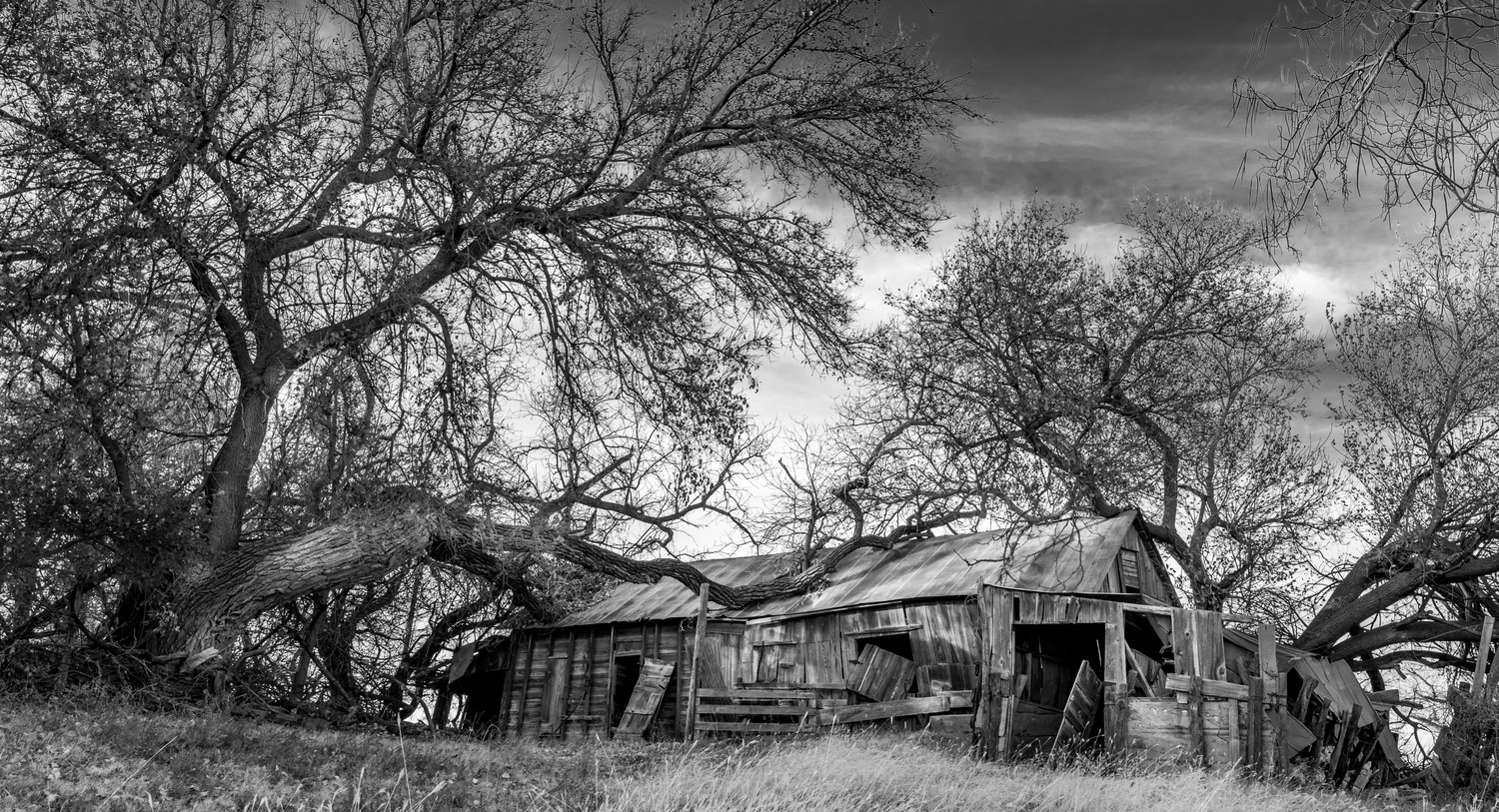 View Wardrop Barn by Adam Barrilleaux