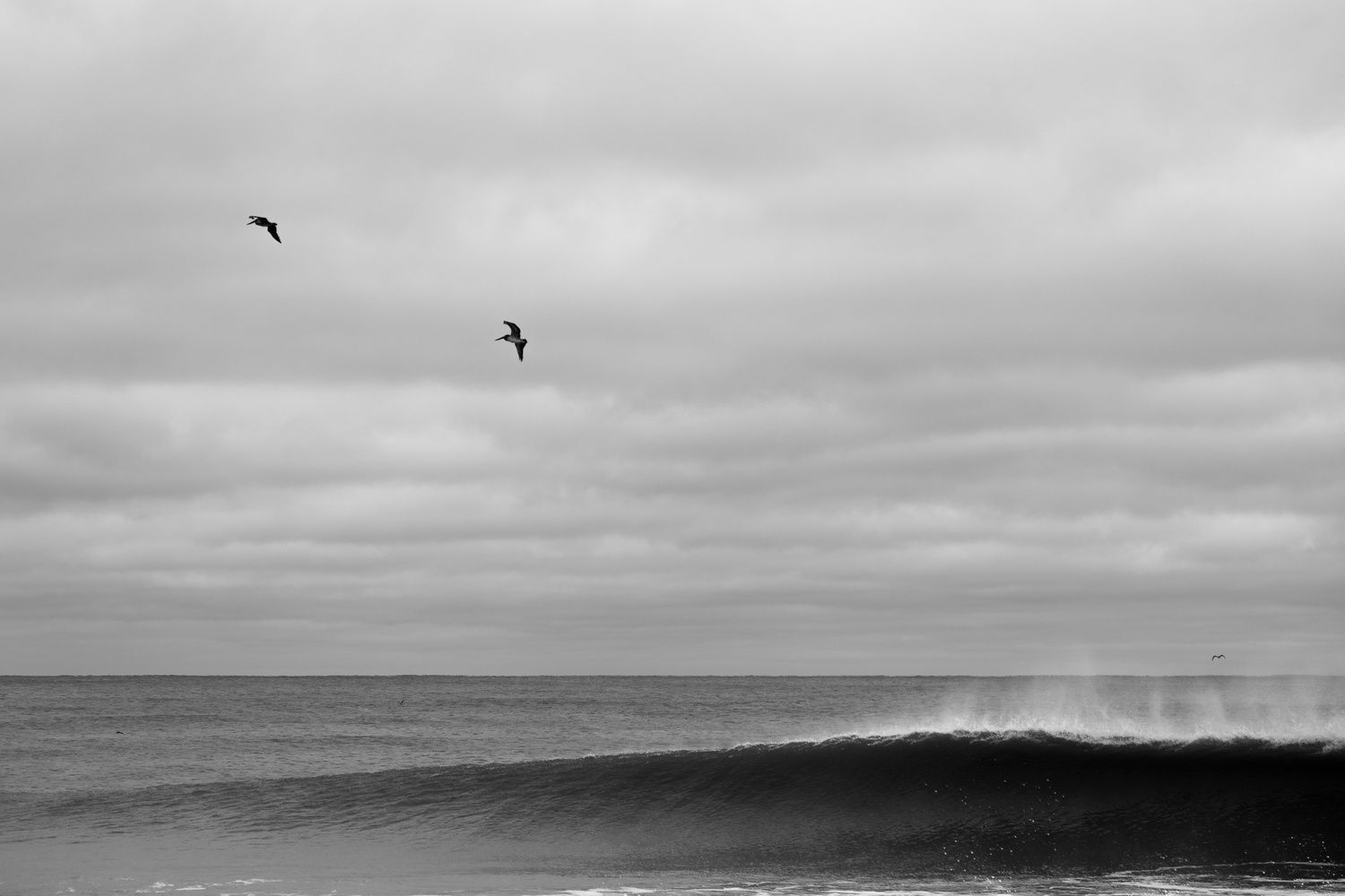 View Untitled 1 by Logan Gearhart