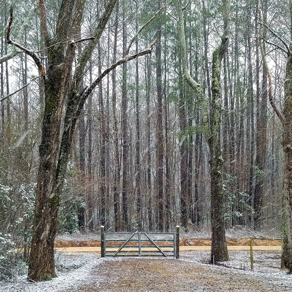 View Just a little bit of snow by Ashley Ledford