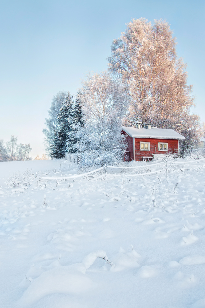 View Untitled 3 by Jukka Pinonummi