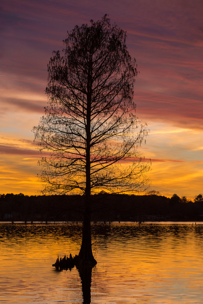 View Sunset Over Lake Cherokee by Jeff Blickenstaff