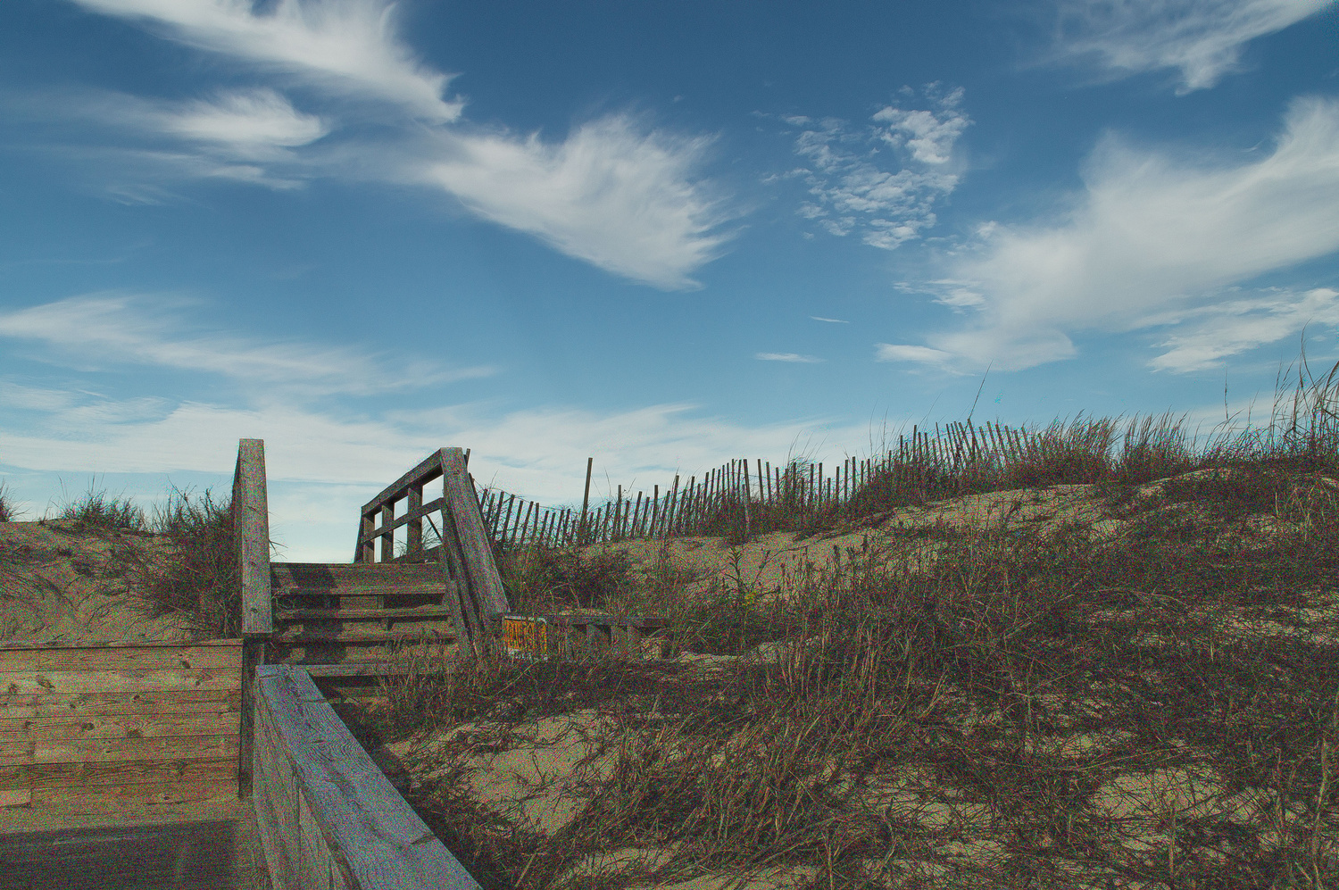 View Boardwalk Entrance by Augustine Salvati