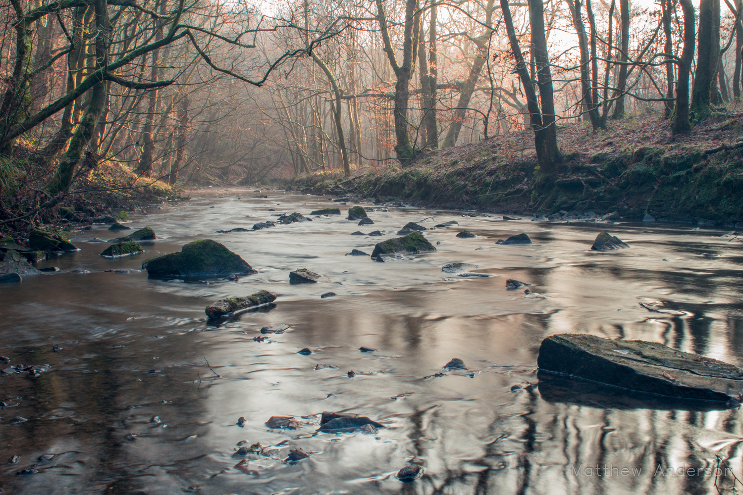 View The Morning Light by Matthew Anderson
