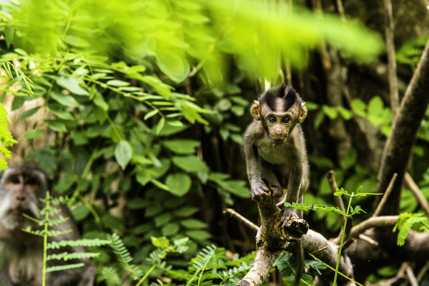 View Untitled 2 by Danny Bastiaanse