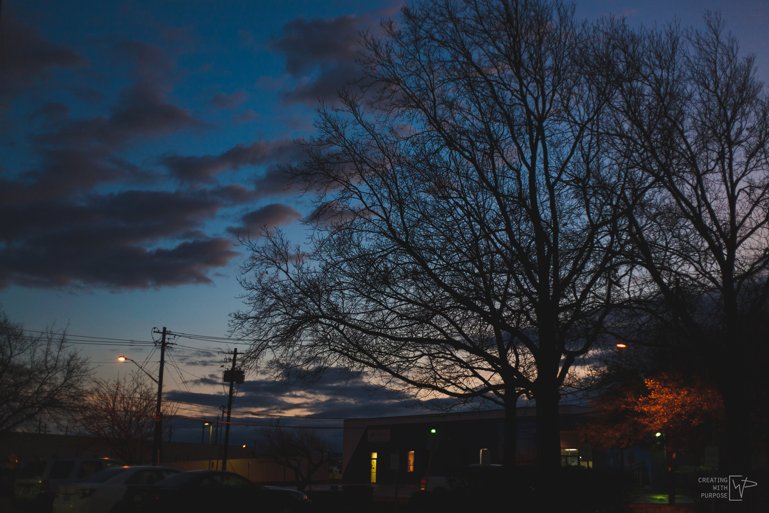 View January 16, 2017 by Philip Adcock