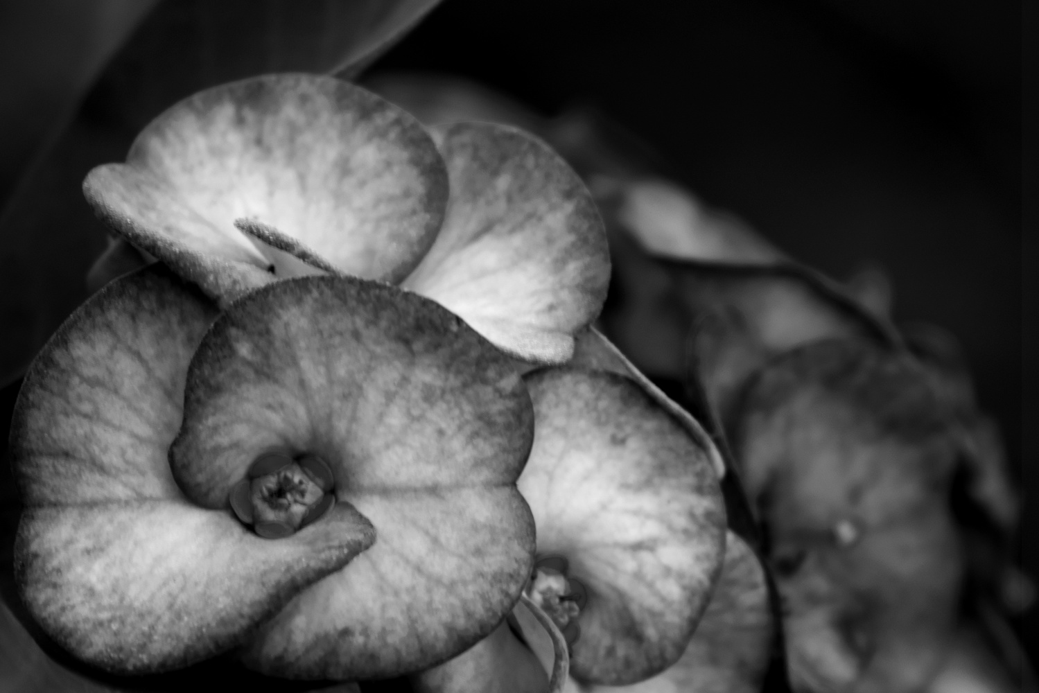 View Untitled 3 by Rajendra Deonarine