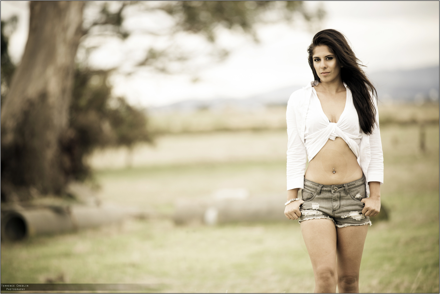 View Chantelle by Terrence Credlin