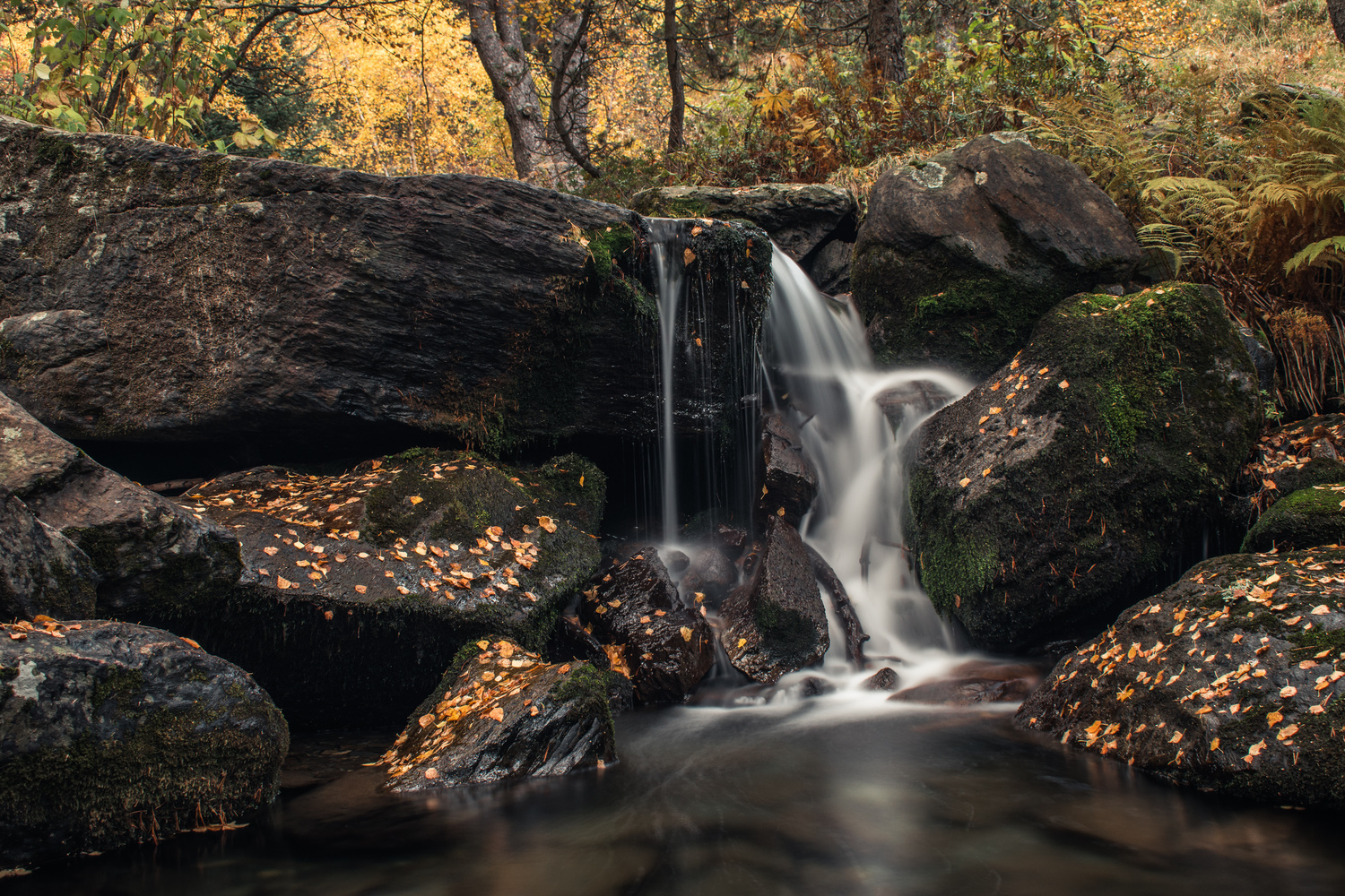 View Nature by Alex Ponsa Sanchis