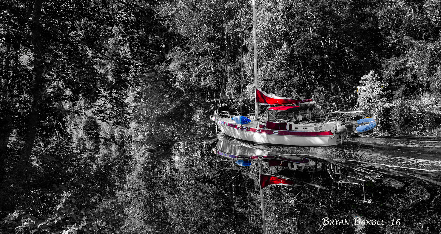 View Dismal Swamp Canal by Bryan Barbee