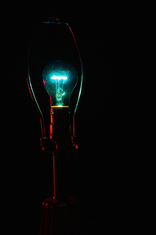 View Bulb by Tessa Furnari