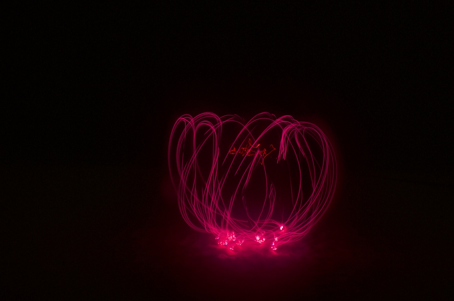 View Pink Lotus by Marie Percy