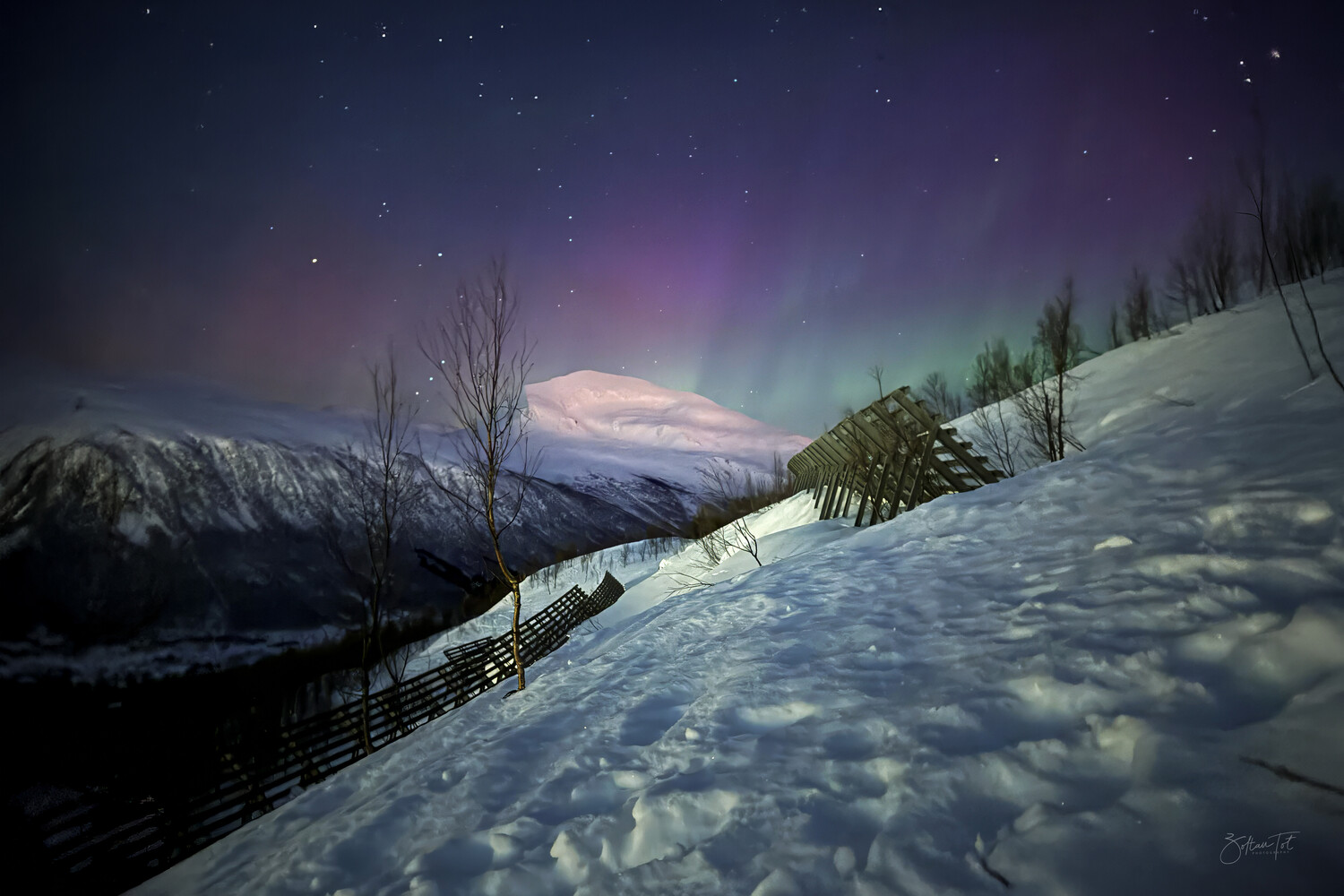 Snow-covered hillside under aurora borealis with snow-capped mountain and bare trees at twilight